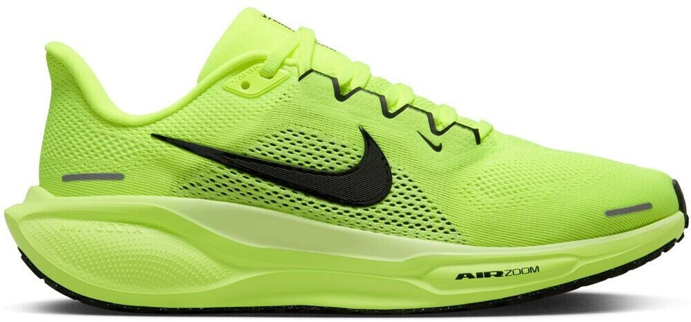 Pegasus nike running store