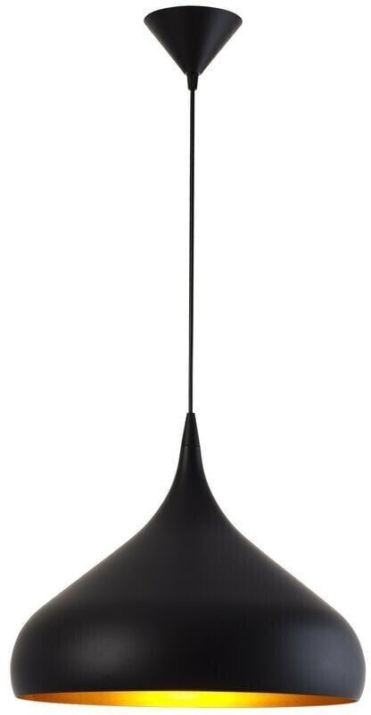 Aluminor Black pendant light Norma