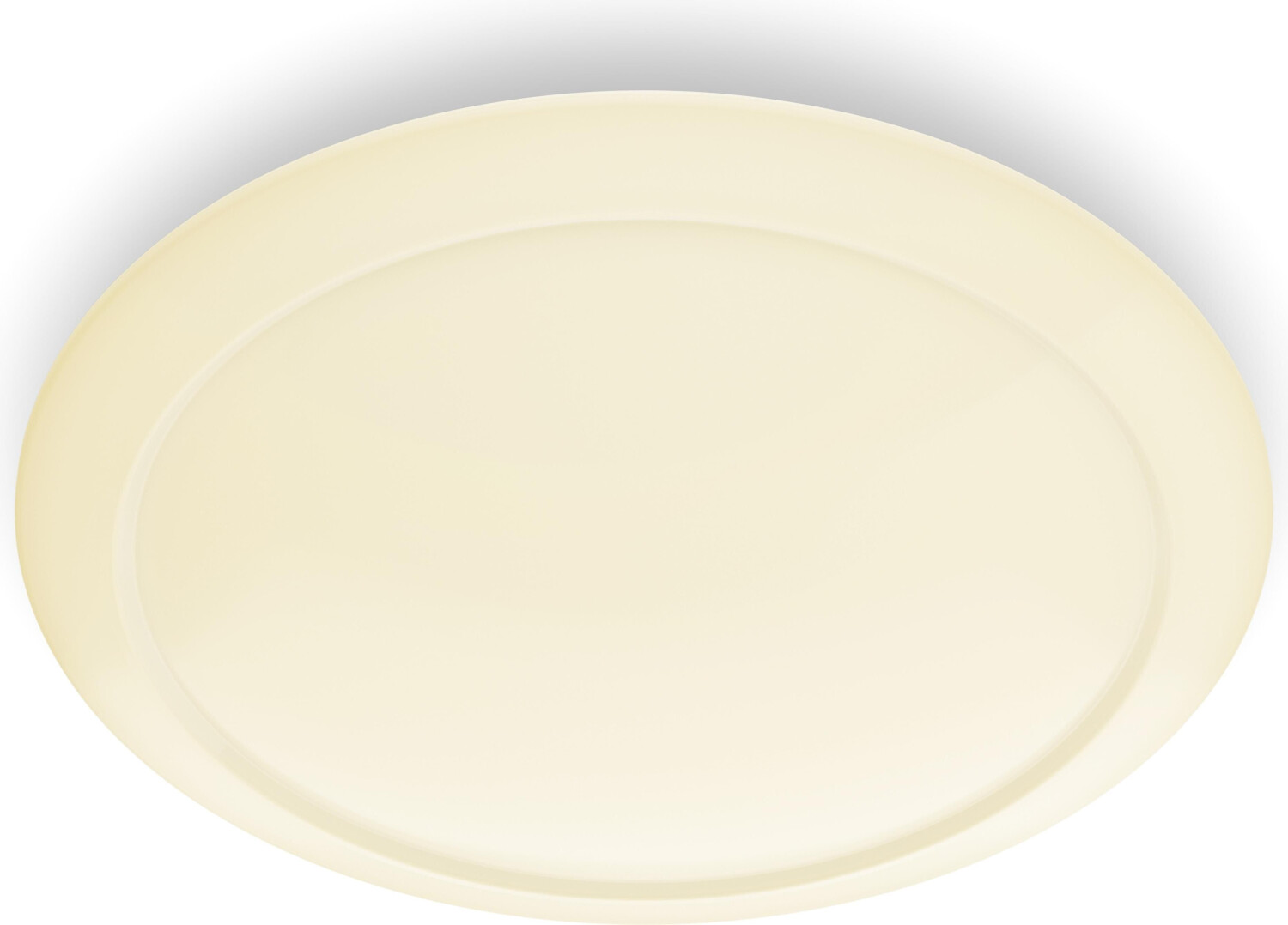 Philips 33365/31/17 - LED ceiling light 1xLED/22W/230V