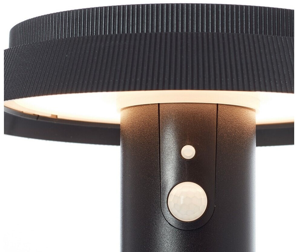 Brilliant Luton G40420/05 solar outdoor wall light with motion detector 4W warm white white