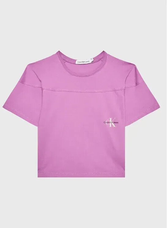 Calvin Klein T-Shirt (IG0IG01859) purple