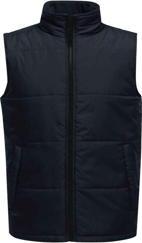 Regatta Professional Professional Men's Water-repellent Access Insulated Body Warmer (TRA842_58F) blue