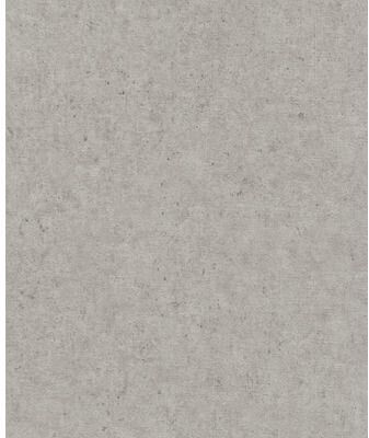 Rasch 520866