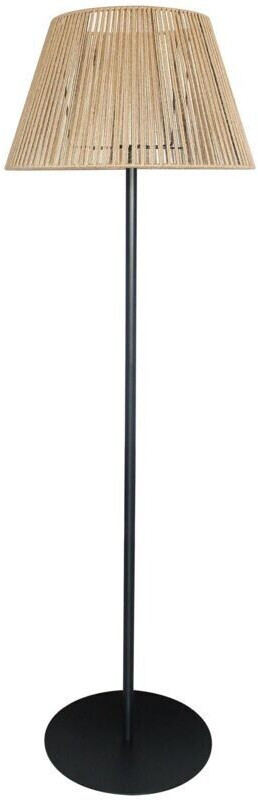 Lumisky TALL RAFFY