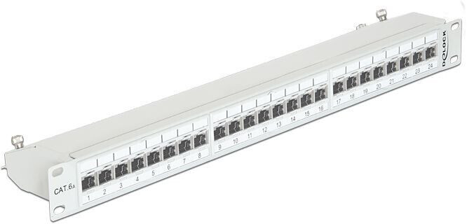 DeLock 19″ Patchpanel 24 Port Cat.6A Grey (43319)