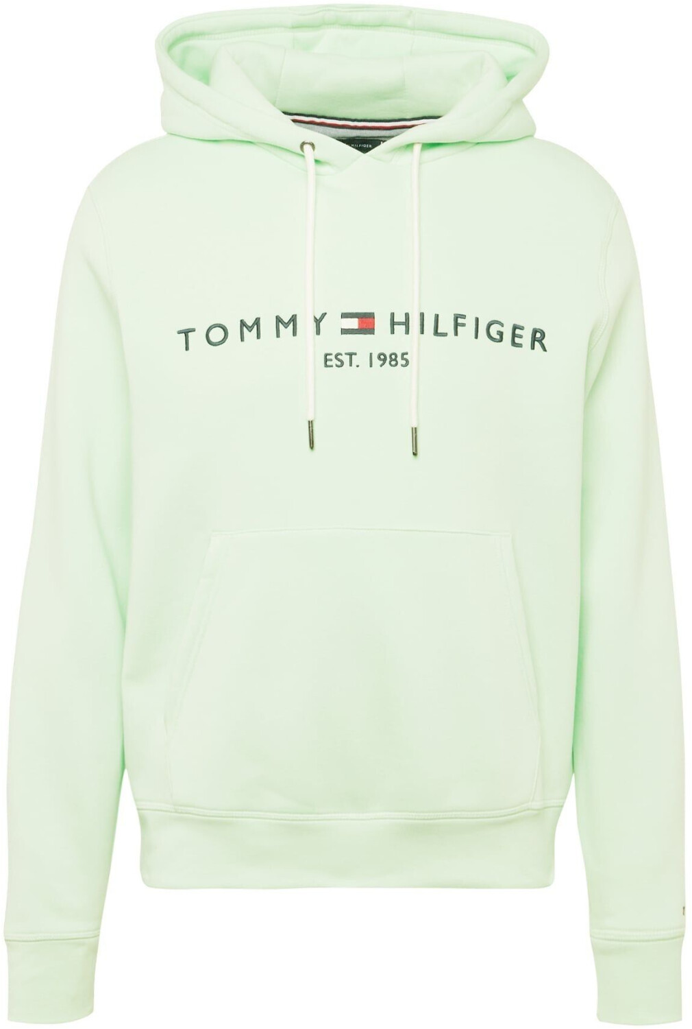 Tommy hilfiger hoodie mint clearance