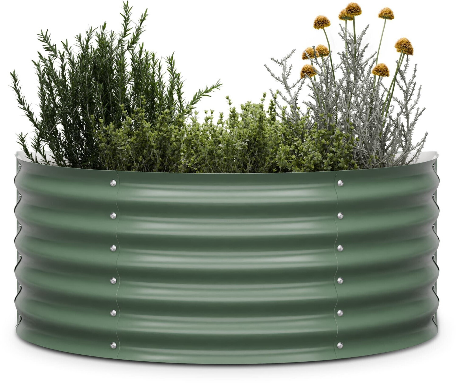 Blumfeldt High Grow Half Circle dark moss