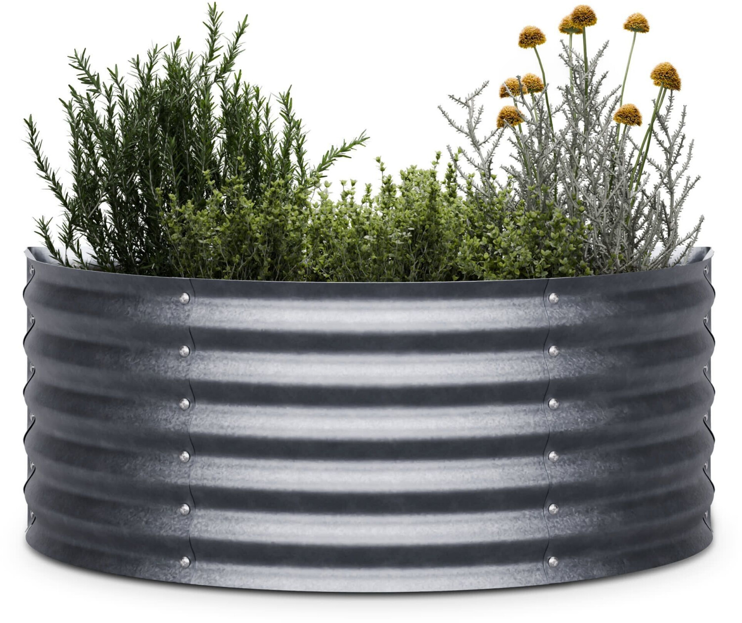 Blumfeldt High Grow Half Circle silver