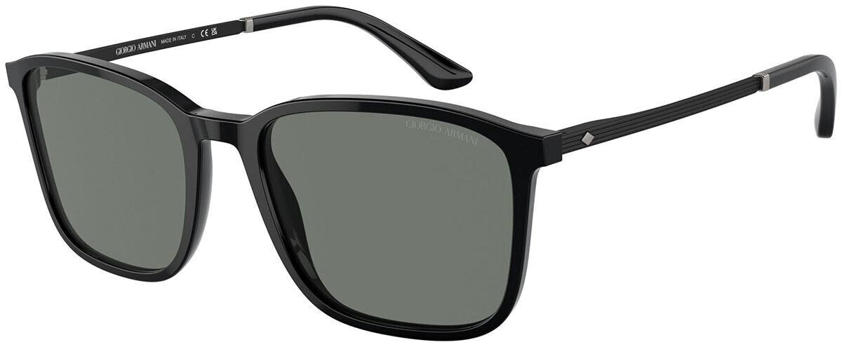 Giorgio Armani AR 8197 5001