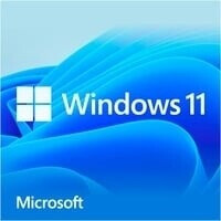 Microsoft Windows 11 Home (DE) (USB Stick)
