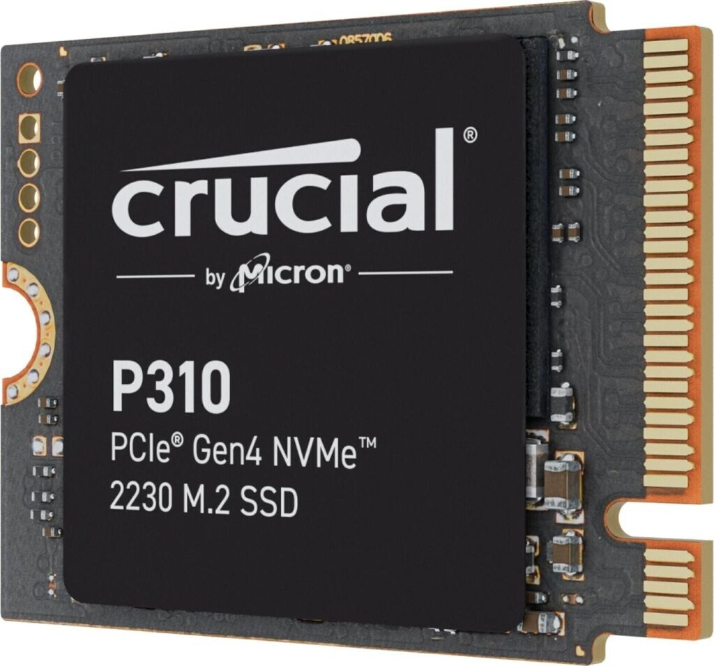 Crucial P310