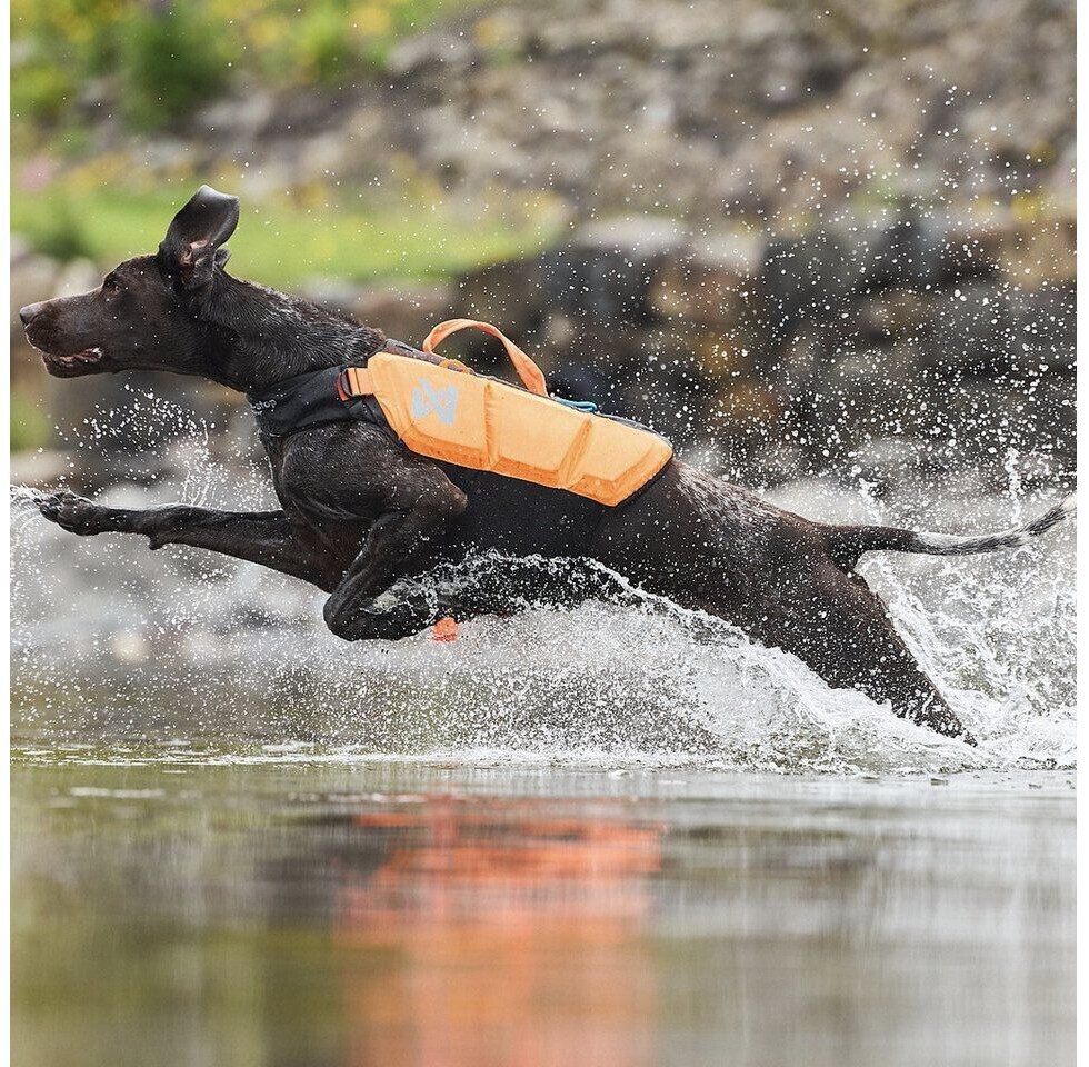 Non-stop dogwear Gilet de sauvetage pour chien 4 Black/Orange Non-stop dogwear Gilet de sauvetage pour chien 4 Black/Orange