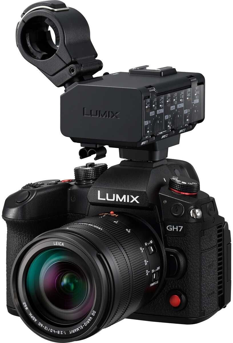 Panasonic DMW-XLR2E