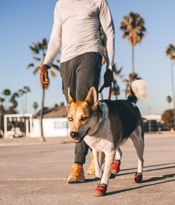 Ruffwear Chaussures pour chien Ruffwear Chaussures pour chien