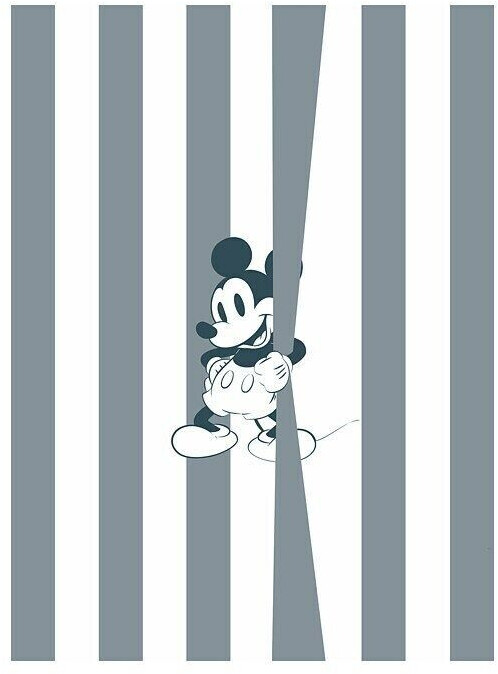 Komar Mickey Offbeat (250 x 200 cm)
