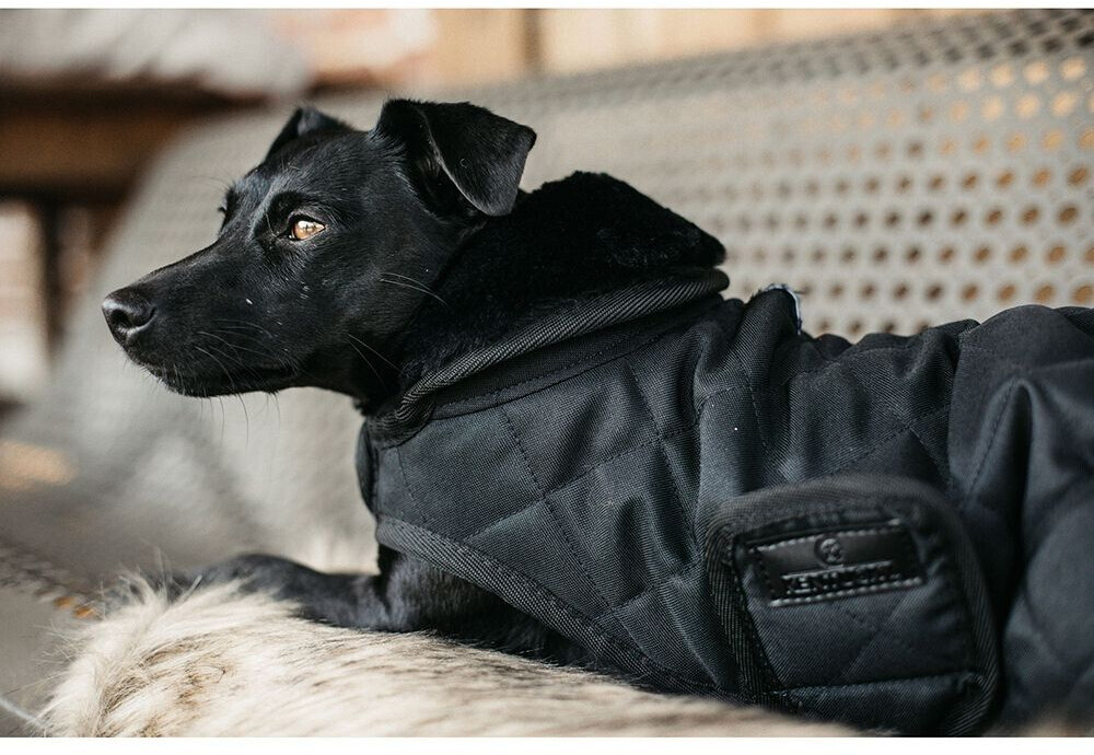 Kentucky Manteau pour chien 52104-05-M Kentucky Manteau pour chien 52104-05-M