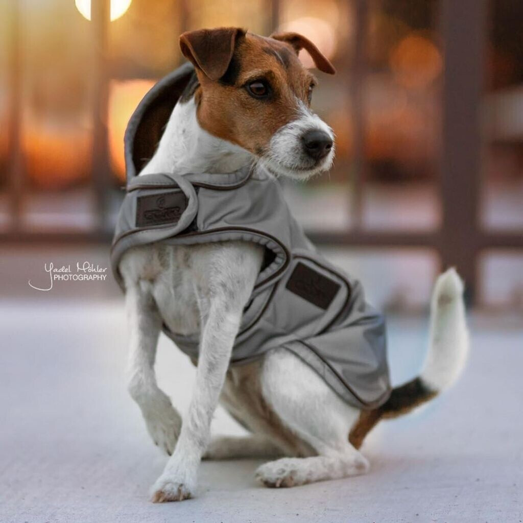 Kentucky Dog coat reflective/water-repellent gray XS (52125-42-XS)