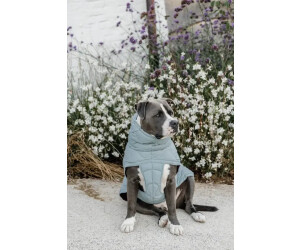 Xxxs dog on sale