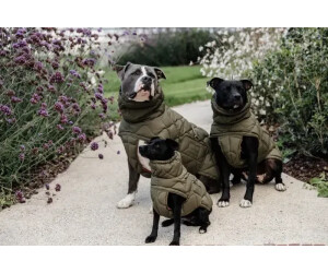 Xxxs dog coat online