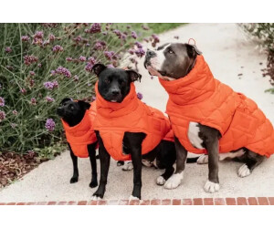 Xxxs dog coat store