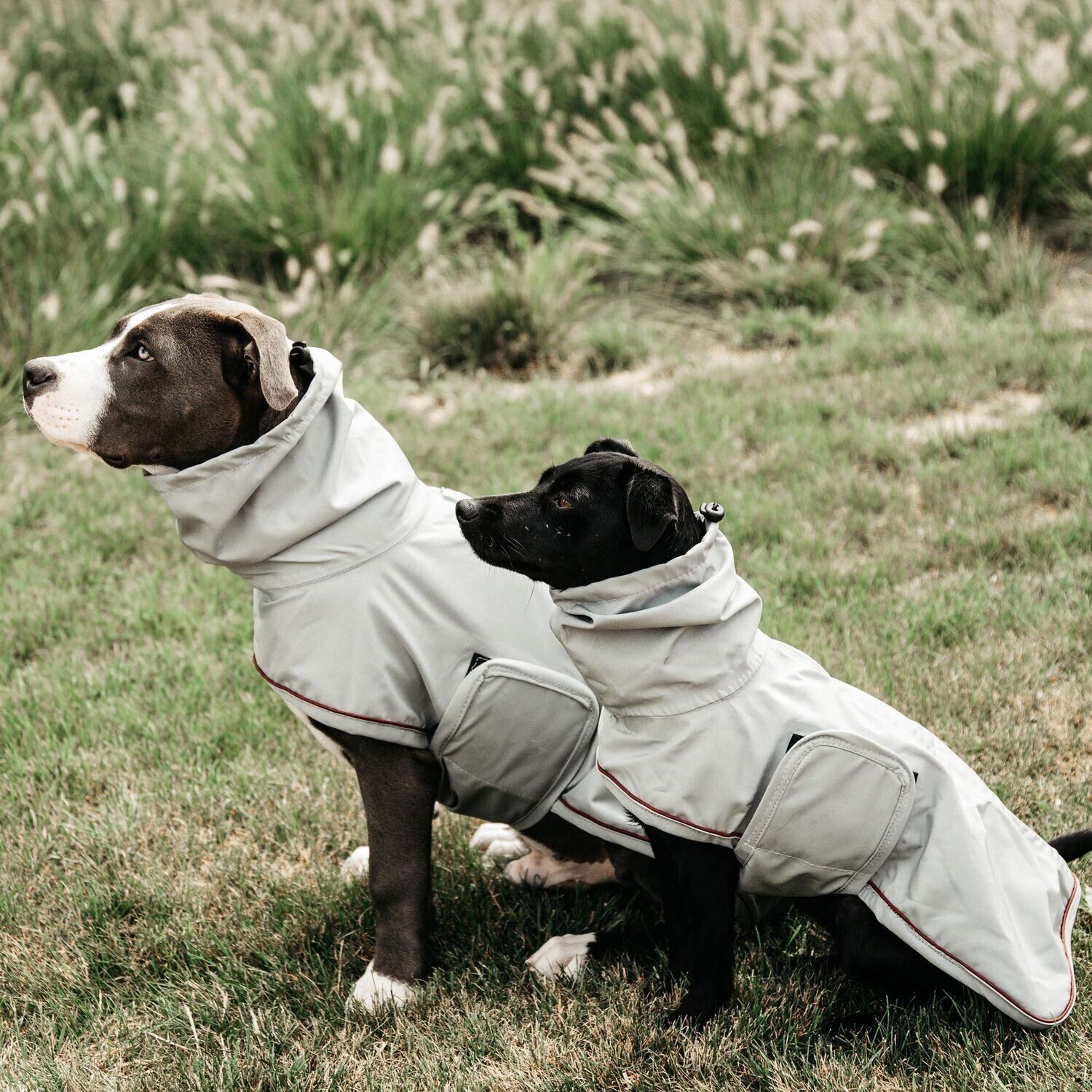 Kentucky Manteau pour chien 52245 Kentucky Manteau pour chien 52245