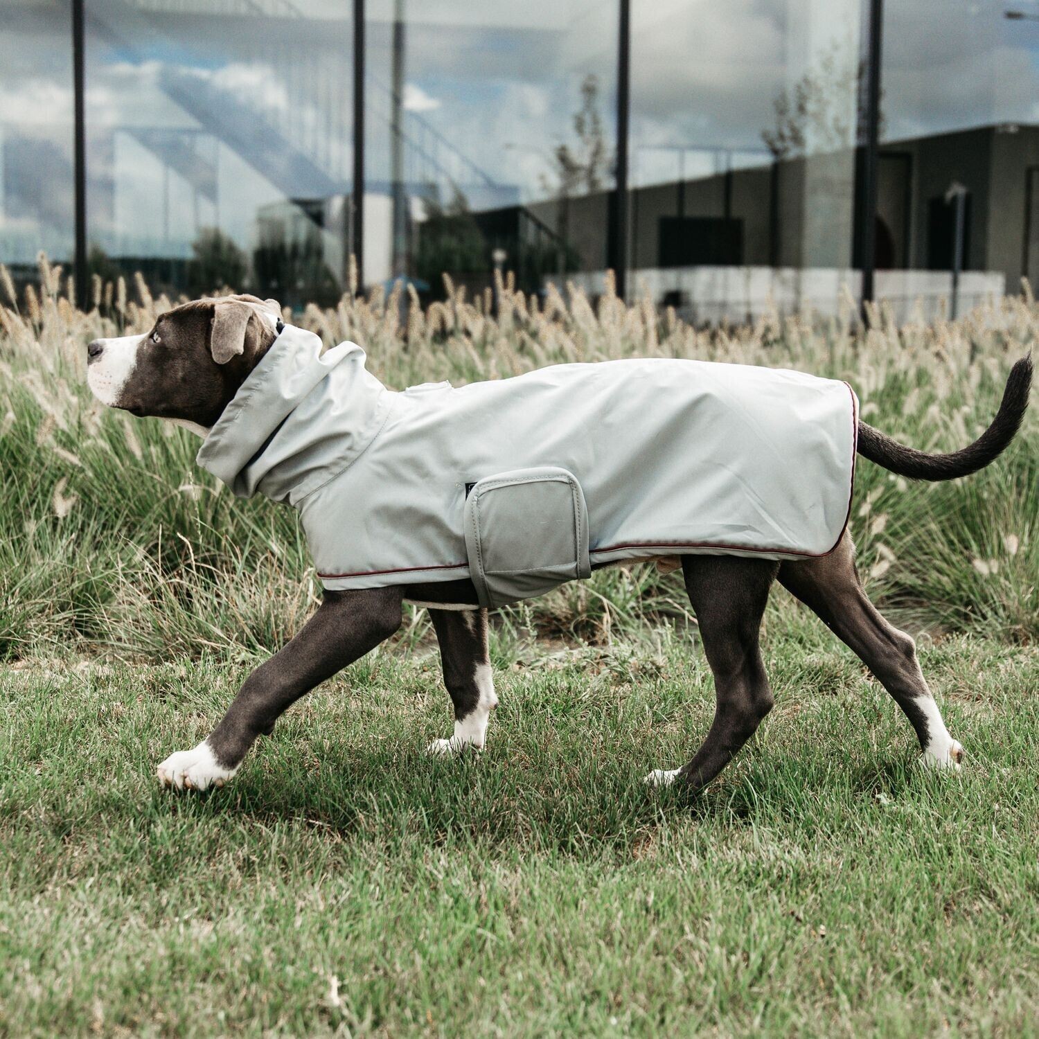 Kentucky Manteau pour chien 52245 Kentucky Manteau pour chien 52245