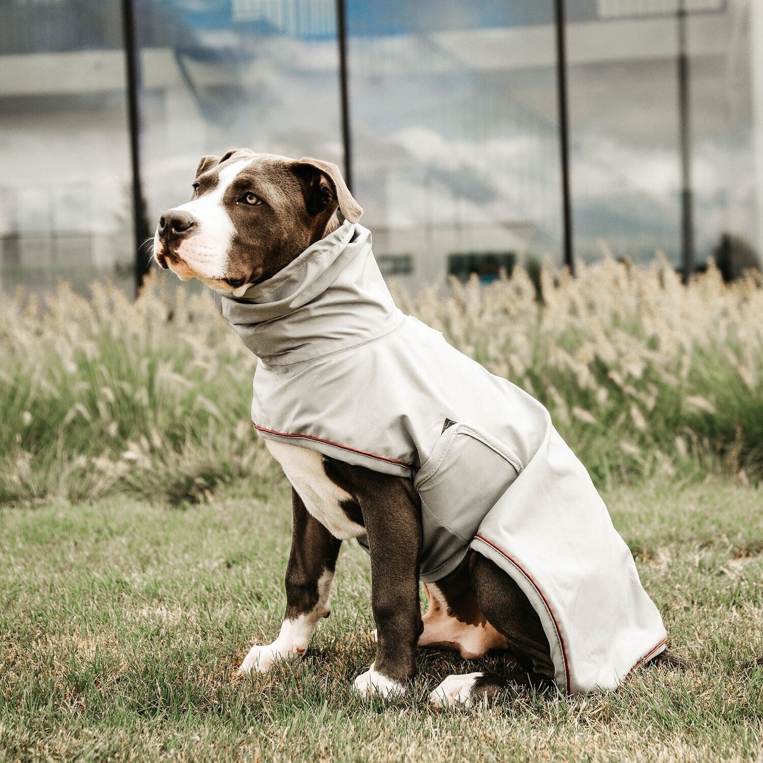 Kentucky Manteau pour chien 52245 Kentucky Manteau pour chien 52245
