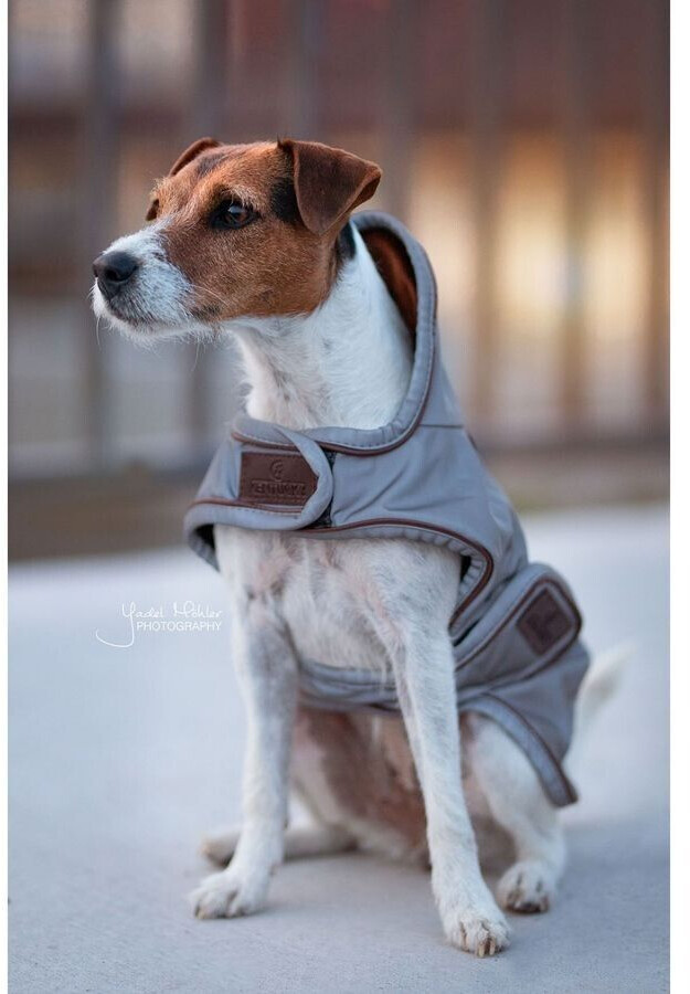Kentucky Manteau pour chien 52125