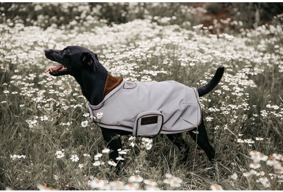 Kentucky Manteau pour chien 52125