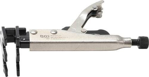 BGS 480