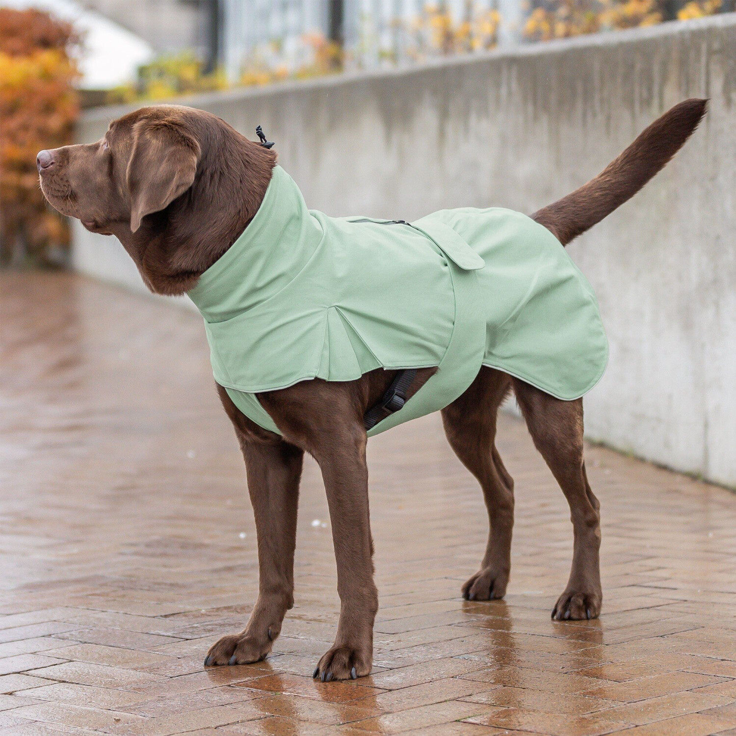 Trixie Imperméable pour chien Trixie Imperméable pour chien