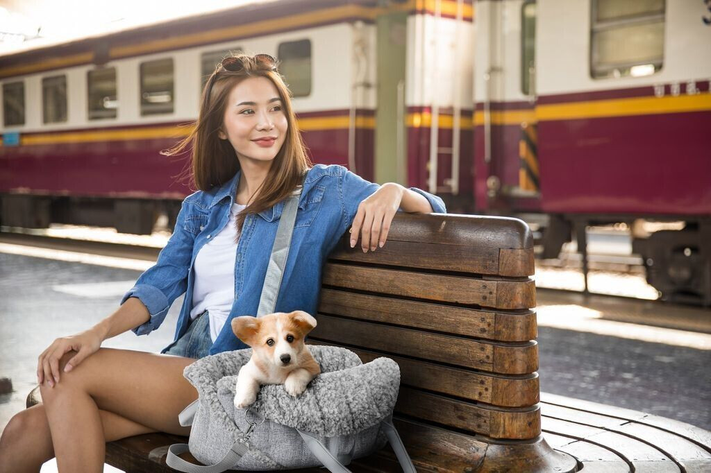 HobbyDog Sac de transport pour chat Inari R1 ash HobbyDog Sac de transport pour chat Inari R1 ash