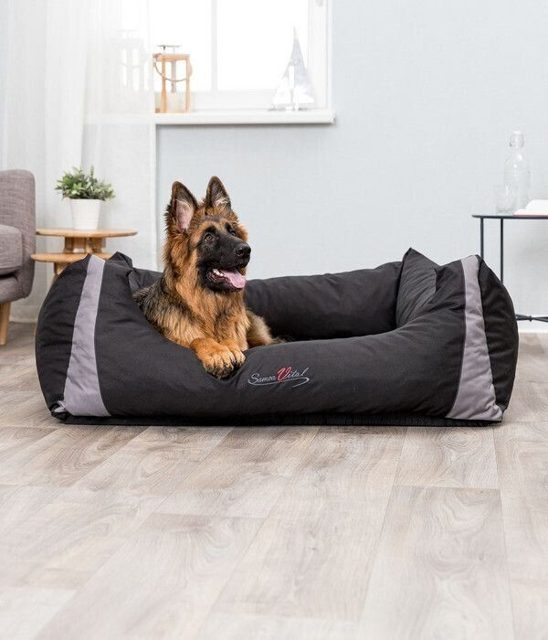 Trixie Lit pour chien Trixie Lit pour chien