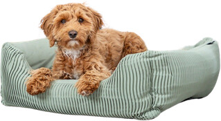 Trixie Lit pour chien Trixie Lit pour chien