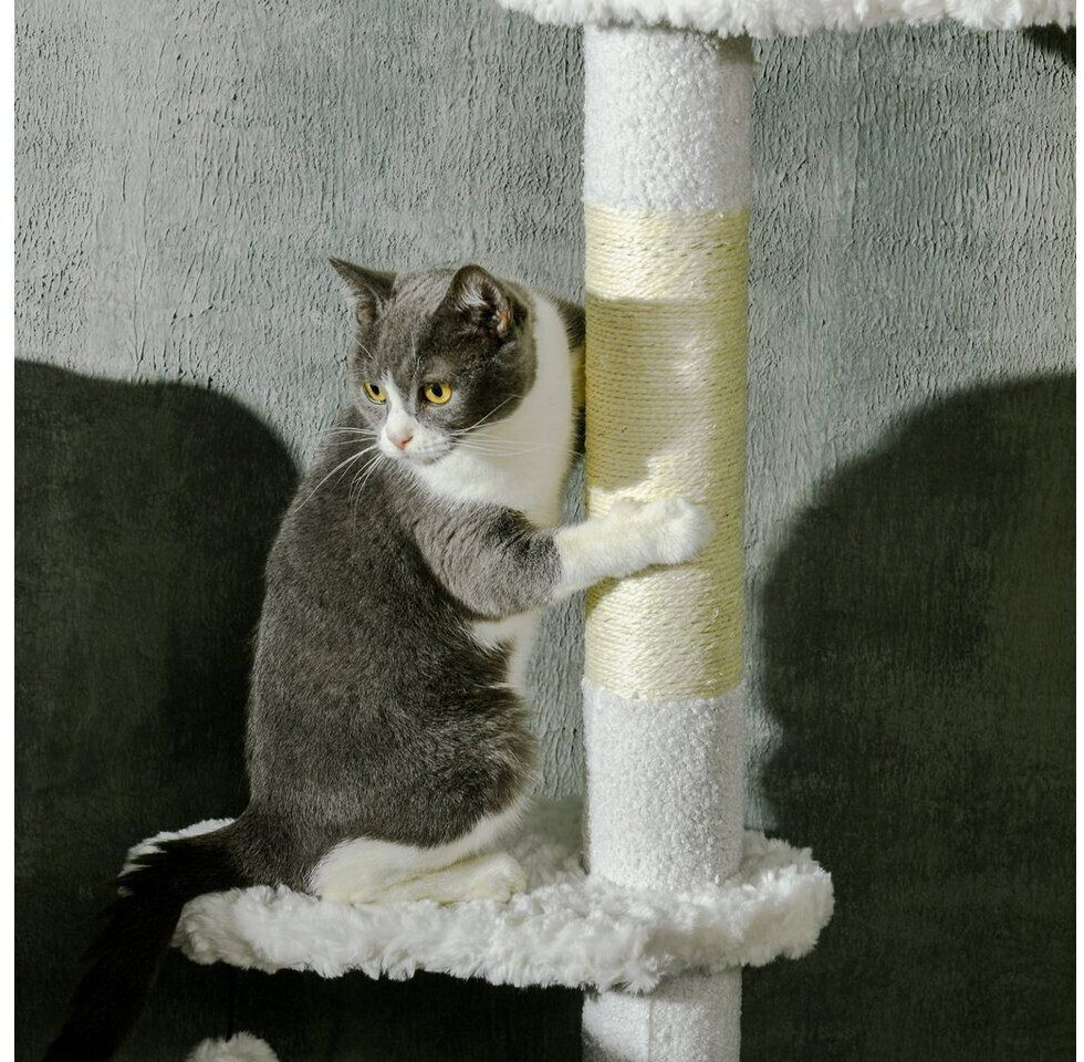Pawhut Arbre à chat Pawhut Arbre à chat