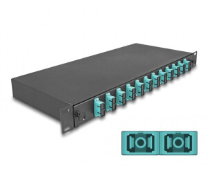DeLock 67007 - 19'' LWL Spleißbox 12x SC Duplex OM3 1HE