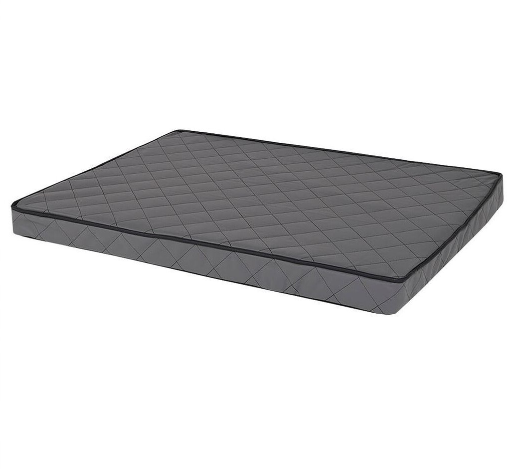 Lionto DB00781