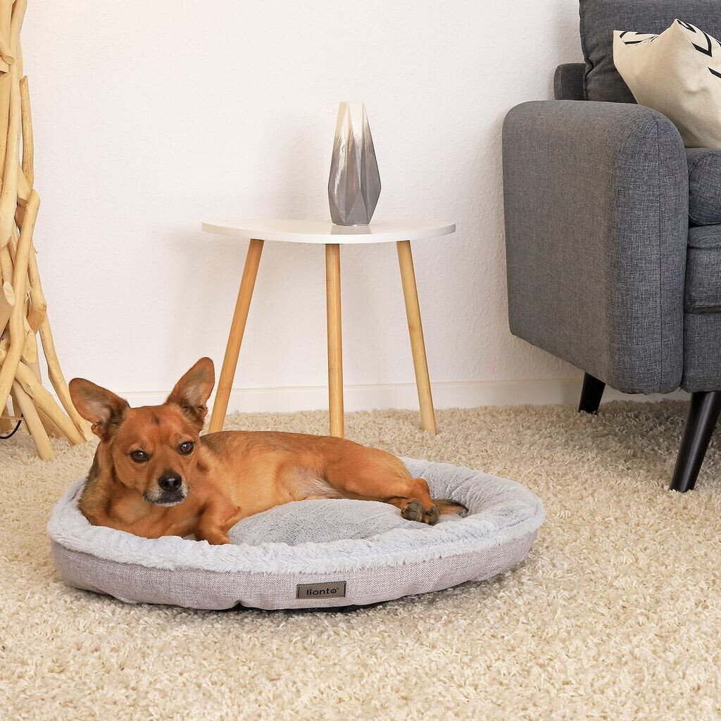 Lionto Lit pour chien Lionto Lit pour chien