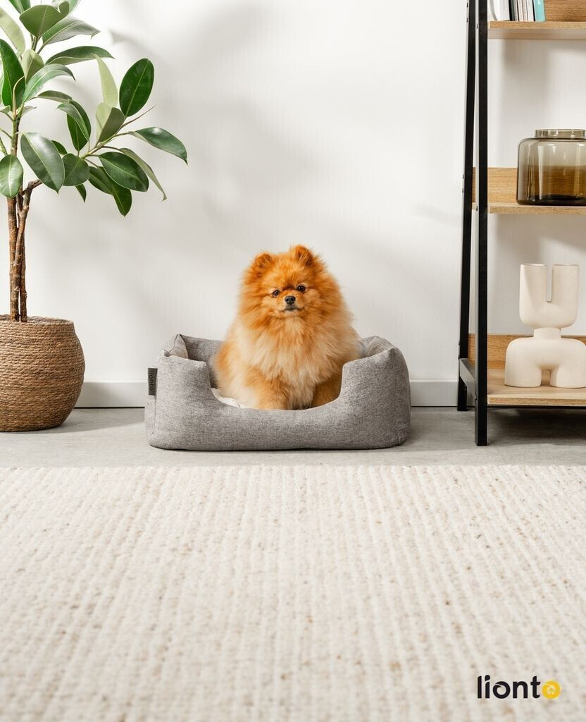 Lionto Lit pour chien