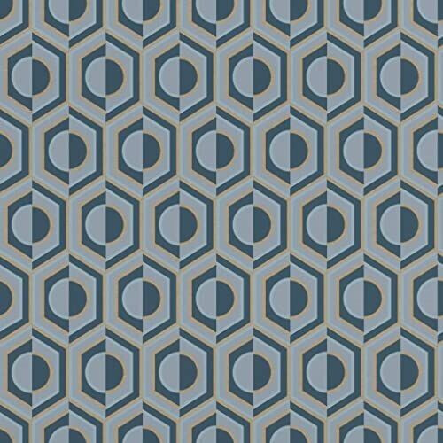 Rasch 710151