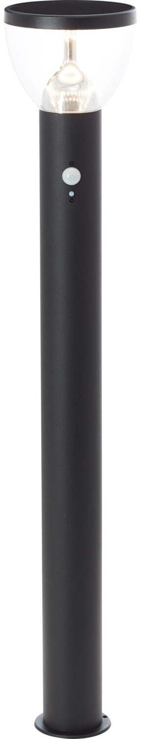 Brilliant G40412/06 Tulip solar outdoor floor lamp with motion detector 3 W Warm (430 lm, IP44)