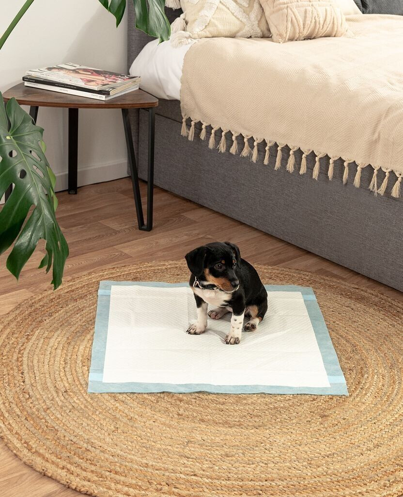 Lionto Tapis de propreté pour chien Lionto Tapis de propreté pour chien