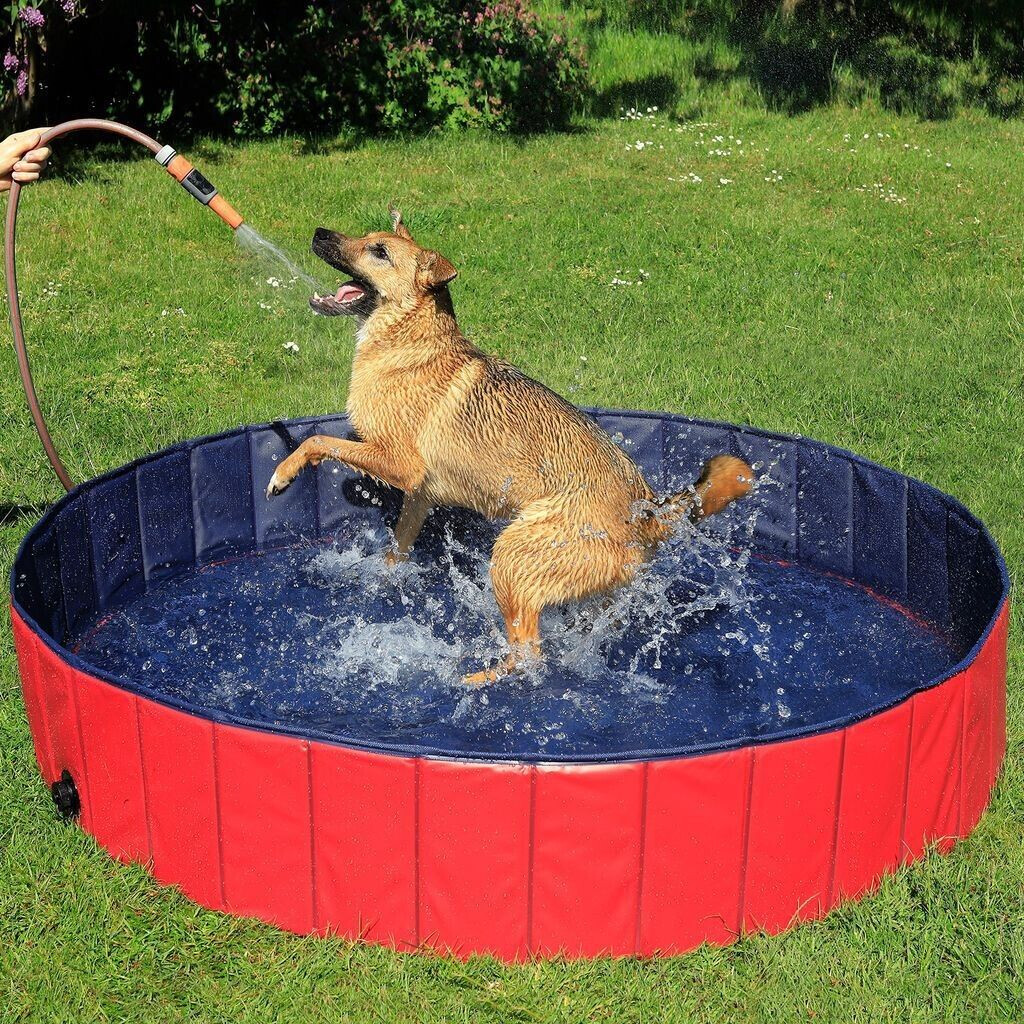 Lionto Piscine pour chien Lionto Piscine pour chien
