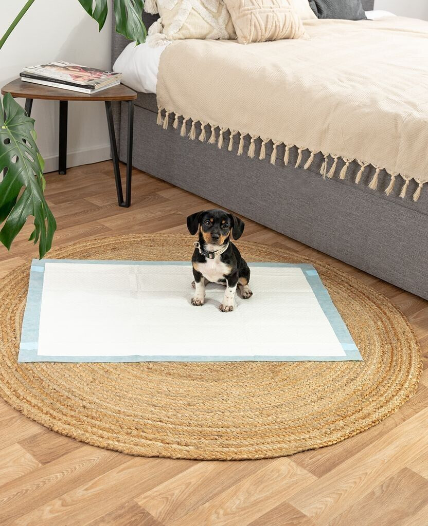 Lionto Tapis de propreté pour chien Lionto Tapis de propreté pour chien