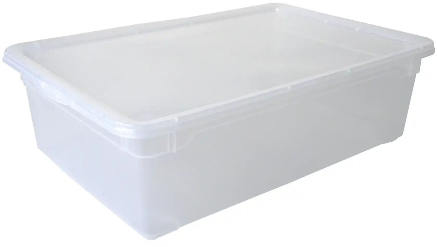 Rotho Clear Box 22L (1438400096)