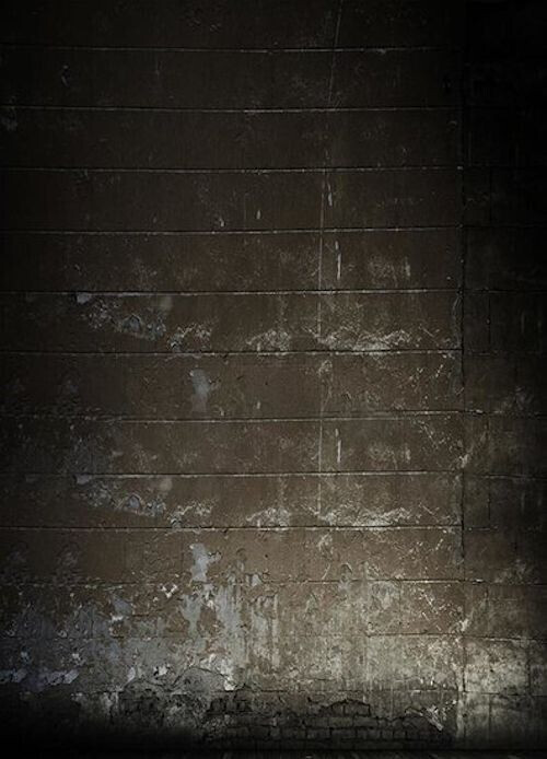 Bresser Background Cloth with Photo Scene 1,8x2,5m F004305