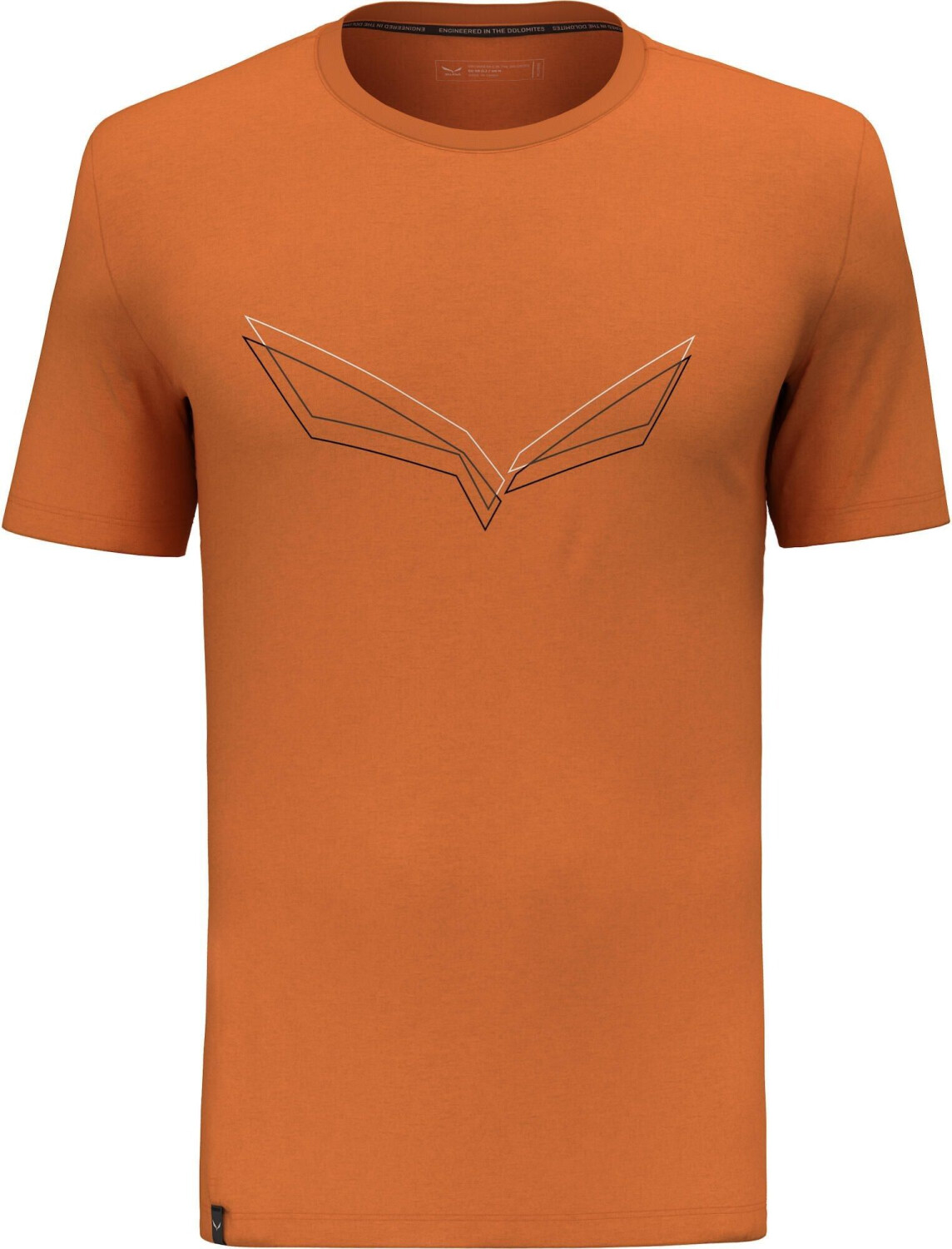 Salewa Pure Eagle Frame Dry'ton M T-Shirt (00-0000028448) burnt orange