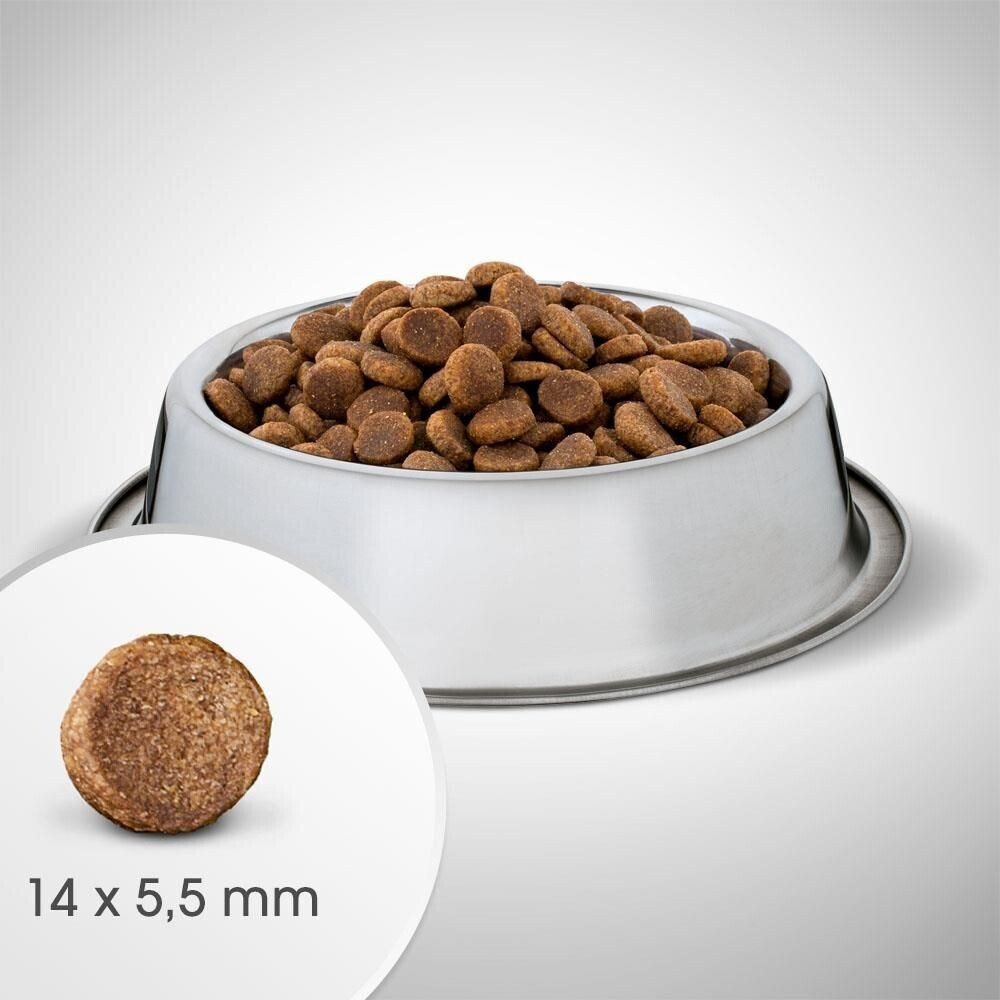 Perfect Fit Croquettes pour chien 11.5kg Perfect Fit Croquettes pour chien 11.5kg