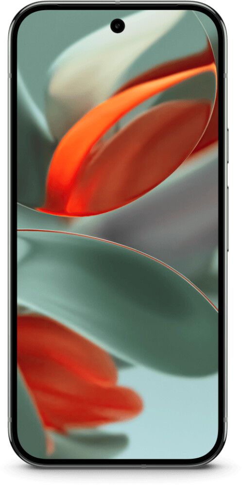 Google Pixel 9 Pro 256GB Hazel