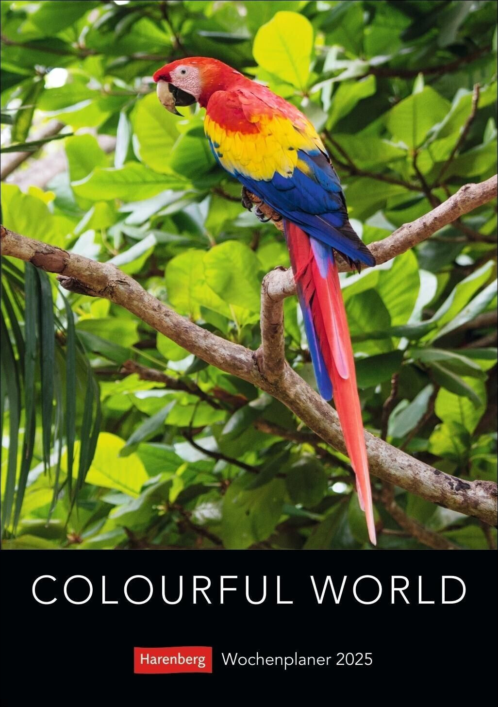 Harenberg Colourful World 2025